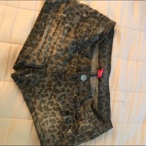 cheetah print shorts